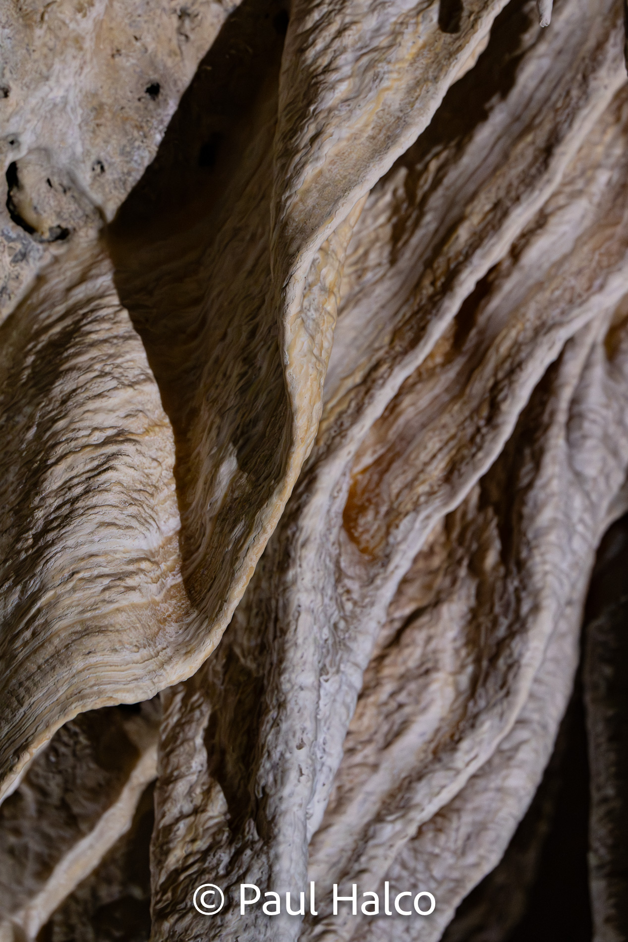 Paul Halco - Caralsbad Cavern NP-7